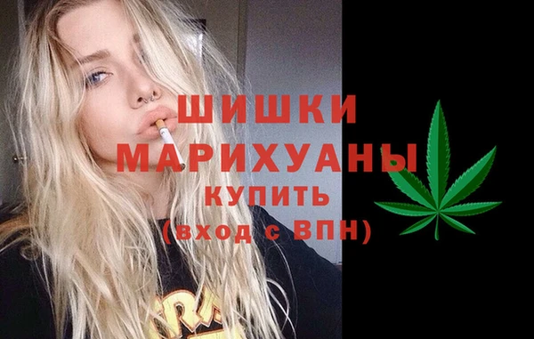 apvp Богородицк